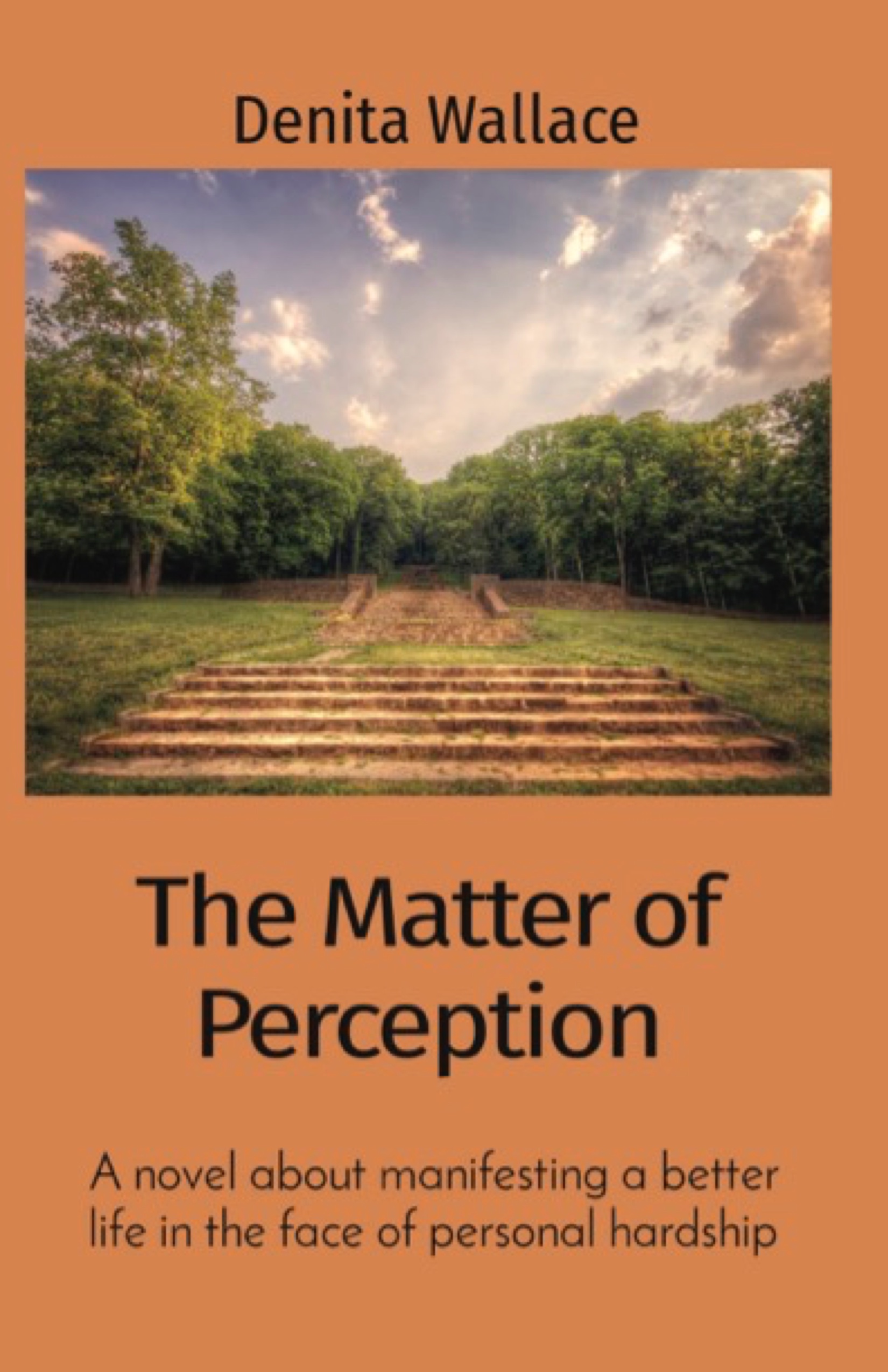 The Matter of Perception: a novel about manifesting a better life in the face of personal hardship The Matter of Perception: a novel about manifesting a better life in the face of personal hardship