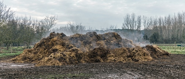 manure_pile manure_pile